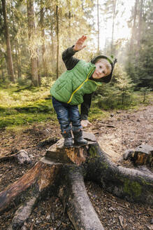 Verspielter Junge, der auf einem Baumstumpf im Wald steht und gestikuliert - MFF07371