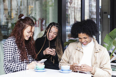 Friends using mobile phone while sitting at sidewalk cafe - PNAF00711