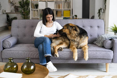 Junge Frau benutzt ein Mobiltelefon, während sie mit ihrem Hund auf dem Sofa im Wohnzimmer sitzt - GIOF11305