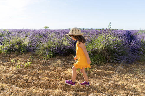Little girl wearing straw hat walking in lavender field during summer - GEMF04691