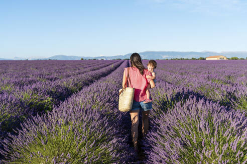 Mother carrying baby daughter in vast lavender field during summer - GEMF04693