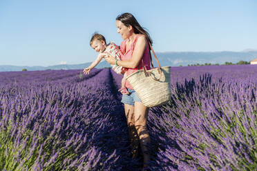 Mutter trägt ihre kleine Tochter in einem großen Lavendelfeld im Sommer - GEMF04694