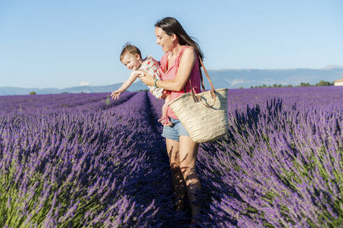Mother carrying baby daughter in vast lavender field during summer - GEMF04694