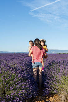 Mother carrying two baby daughters in vast lavender field during summer - GEMF04697