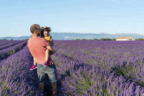 Vater trägt seine kleine Tochter in einem großen Lavendelfeld im Sommer, lizenzfreies Stockfoto