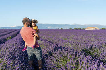 Father carrying baby daughter in vast lavender field during summer - GEMF04699