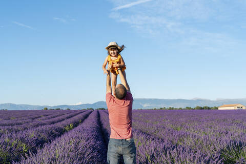 Vater hält seine kleine Tochter in einem weiten Lavendelfeld im Sommer hoch, lizenzfreies Stockfoto