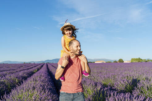 Father piggybacking little daughter in vast summer lavender field - GEMF04702