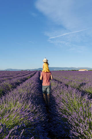 Father piggybacking little daughter in vast summer lavender field stock photo