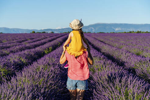 Mother piggybacking little daughter in vast summer lavender field - GEMF04706