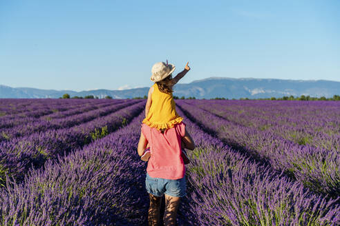 Mother piggybacking little daughter in vast summer lavender field - GEMF04708