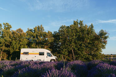 Wohnmobil am Rande eines Lavendelfeldes im Sommer geparkt - GEMF04713