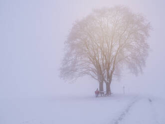 Deutschland, Schwarzwald, Freiamt, Person auf einer Bank unter einem Baum auf dem Schillinger Berg im Winter ruhend - LAF02684