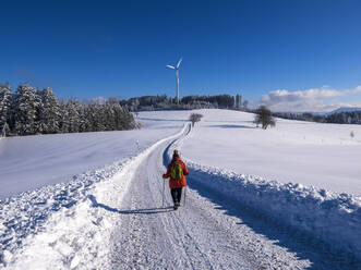 Deutschland, Schwarzwald, Freiamt, Person beim Wandern auf dem Schillinger Berg im Winter - LAF02686