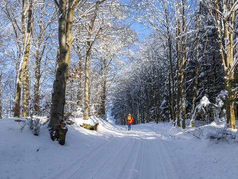 Germany, Black Forest, Freiamt, Person hiking on Schillinger Berg in winter stock photo