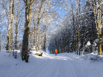 Deutschland, Schwarzwald, Freiamt, Person beim Wandern auf dem Schillinger Berg im Winter - LAF02687