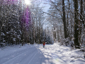 Deutschland, Schwarzwald, Freiamt, Person beim Wandern auf dem Schillinger Berg im Winter - LAF02689