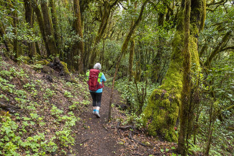 Senior woman hiking along footpath in Garajonay National Park stock photo