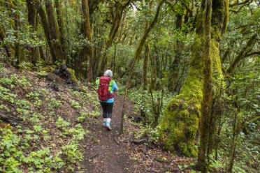 Senior woman hiking along footpath in Garajonay National Park - SIEF10118