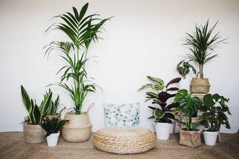 Living room decorated with houseplant by ottoman stool and cushion - EBBF02524