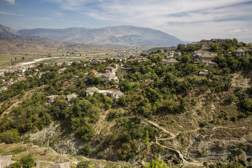 Wald bei Gjirokaster, Albanien - MAMF01645