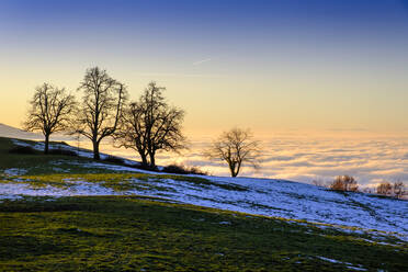 Österreich, Vorarlberg, Pfänderberg bei Sonnenuntergang - LBF03382