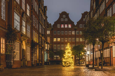 Germany, Hamburg, Christmas Tree on Peterstrasse in Composers Quarter - KEBF01788