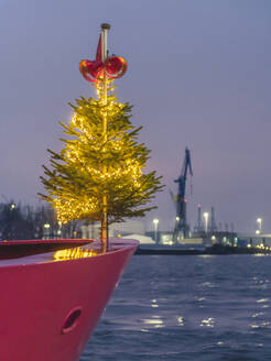 Deutschland, Hamburg, Landungsbrucken, Weihnachtsbaum auf Fähre - KEBF01791