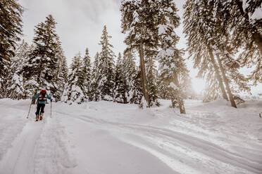 Österreich, Kärnten, Villach, Skitouren auf der Gerlitzen im Winter - DAWF01779