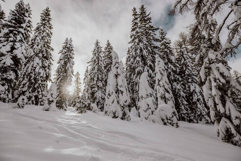 Österreich, Kärnten, Villach, Gerlitzen Berg bei Sonnenuntergang im Winter - DAWF01781