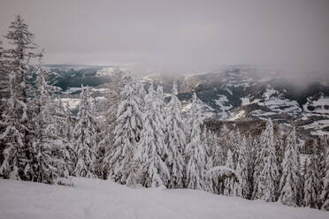 Österreich, Kärnten, Villach, Berg Gerlitzen im Winter - DAWF01782