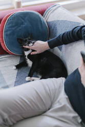 Mann streichelt Katze, während er zu Hause auf dem Sofa sitzt - BOYF01925