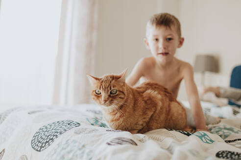 Boy sitting with ginger cat on bed - GMLF00998