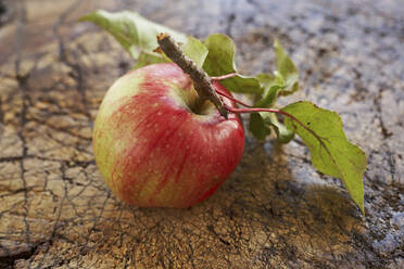 Ripe apple lying on wooden surface - SABF00064
