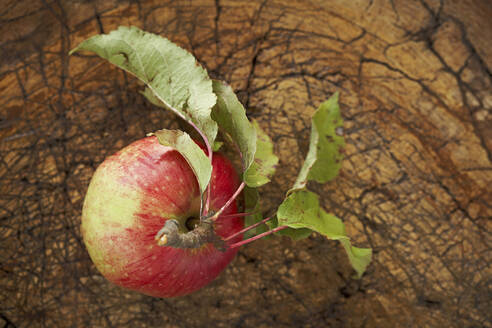 Ripe apple lying on wooden surface - SABF00066