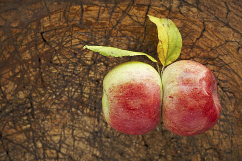 Two ripe apples lying on wooden surface - SABF00067