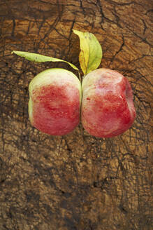 Two ripe apples lying on wooden surface - SABF00068