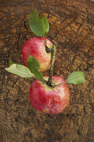 Zwei reife Äpfel liegen auf einer Holzfläche, lizenzfreies Stockfoto