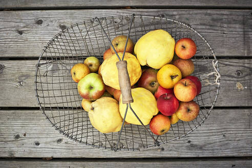 Basket with fresh ripe apples lying on wooden surface - SABF00070