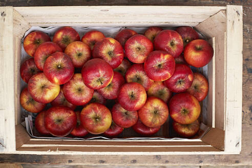 Crate of red ripe apples - SABF00071