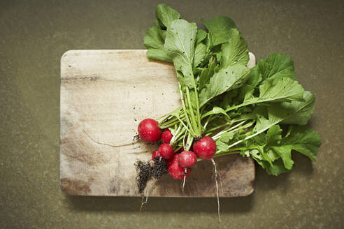 Freshly dug radishes on wooden cutting board - SABF00073