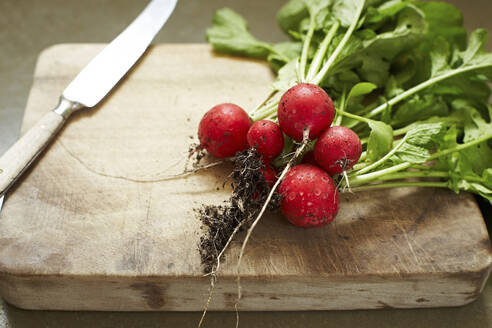 Freshly dug radishes on wooden cutting board - SABF00074