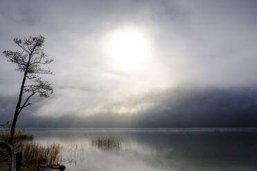 Österreich, Oberösterreich, Salzkammergut, Mondsee im Herbstnebel bei Sonnenaufgang - LBF03388