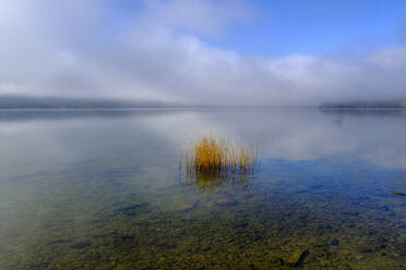 Austria, Upper Austria, Salzkammergut, Mondsee lake in autumn fog at sunrise - LBF03389