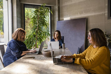 Weibliche Kollegen mit Geschäftsfrau mit Laptop während der Teilnahme an der Business-Meeting im Sitzungssaal - DLTSF01653