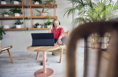 Lächelnde Frau, die zwinkert und Daumen nach oben zeigt, während sie ein Video auf einem Laptop in einer Wohnung ansieht - FMKF07035