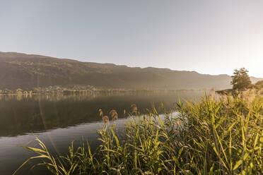 Berg gegen Himmel am Ossiacher See bei Sonnenaufgang, Österreich - DAWF01839