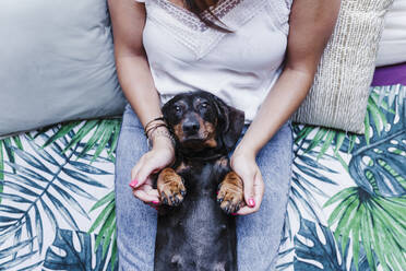 Dachshund dog lying on woman's lap on bed at home - EBBF02549