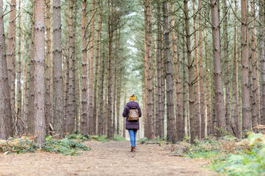 Frau mit Rucksack inmitten von Bäumen im Wald - WPEF04183