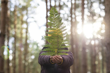 Woman holding fern in front of face while standing In forest - WPEF04185